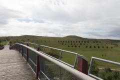 Zu sehen ist eine geschwungene Brücke, von welcher sich ein Blick auf eine neu gestaltete Landschaft eröffnet.