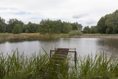 Zu sehen ist ein Teich. Am Ufer befindet sich ein Steg mit einer Fischreuse.