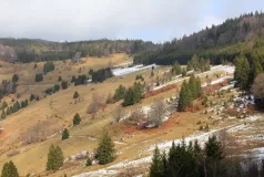 Zu sehen sind Allmende bei Ungendwieden an einem Wintertag.