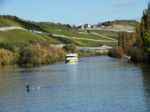 Das Foto zeigt Weinberge am Mainufer. Auf dem Main fährt ein Ausflugsdampfer.