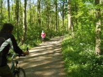 Jogger und Fahrradfahrer im Stadtwald