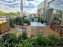 Auf einer Dachterrasse eines städtischen Wohngebäudes stehen auf einem Holzdeck ein Tisch, mehrere Stühle und ein Sonnenschirm. Dies alles ist umrandet von vielen bepflanzten Blumenkübel