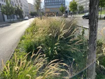 Mittig durchzieht ein mit Gräsern bepflanzter Fahrbahntrennstreifen das Bild. Im Hintergrund sind große Bürogebäude zu erkennen.