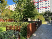 Vor großen Geschosswohnungsgebäuden befindet sich ein kleiner Garten mit Rasen, Hecken und einem großen Baum. Der Garten ist umzäunt und durch einen Schotterweg zu erreichen