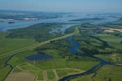 Luftaufnahme Blick flussabwärts auf die Haseldorfer Binnenelbe mit Elbvorland