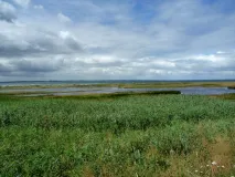 Blick auf das Flachwasser an der Nordwestspitze im Naturschutzgebiet Geltinger Birk