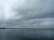 Blick auf das Flachwasser im Naturschutzgebiet Geltinger Birk