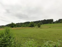 Jagdgebiet der Breitflügelfledermaus