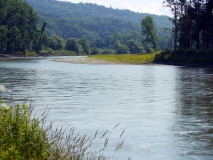 Lebensraum des Donaukaulbarschs