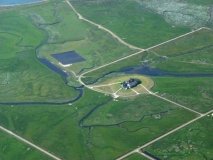 Luftbild der Hallig Langeness im Wattenmeer