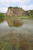 Lebensraum der Östlichen Moosjungfer in einem Steinbruch