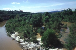 Lebensraum Nerz Ufer des Ebro