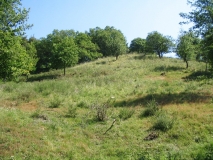 Jagdgebiet der Kleinen Hufeisennase