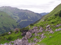 Lebensraum des Alpensalamanders