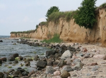 Steilküste, Zicker (Rügen)