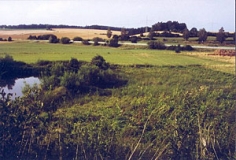 Agrarlandschaft südwestlich Hausen (Foto: Bahram Gharadjedaghi)