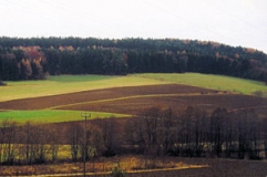 Tal der Lösau östl. Lösau im Obermainischen Hügelland (Foto: Bahram Gharadjedaghi)