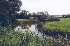 Rotmainaue bei Melkendorf (Blick nach SO) (Foto: Bahram Gharadjedaghi)