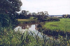 Rotmainaue bei Melkendorf (Blick nach SO) (Foto: Bahram Gharadjedaghi)
