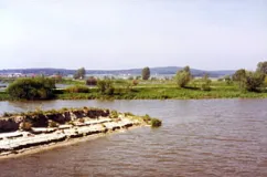 Altmühlsee, Stausee mit Vogelinsel "neues fränkisches Seenland" (Foto: Bahram Gharadjedaghi)