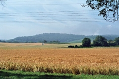 Westliche Hohenloher-Haller Ebene mit Blick auf Schwäbisch-fränkischen Waldberge (Foto: Rolf Heimann)