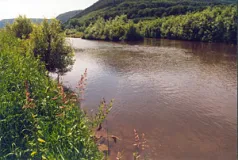 Mainaue zwischen Wertheim und Freudenberg, Blick auf den "Flutgraben Faulbach" (Foto: M. Süßer)