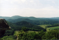 Pfälzerwald im bereich des Dahner Felsenlands (Foto: Peter Finck)