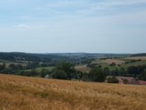Zweibrücker Westrich bei Mauschbach (Foto: Usch Martin)