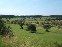 Bliesgau bei Medelsheim (Foto: Usch Martin)