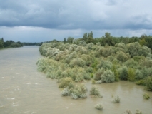 Markgräfler Rheinaue, Sommerhochwasser 2007 (Foto: Usch Martin)