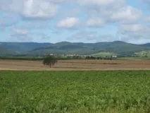 Blick von Haftelhof auf den Haardtrand (Foto: Usch Martin)