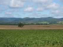 Blick von Haftelhof auf den Haardtrand (Foto: Usch Martin)