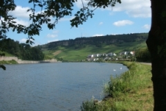 Obermoseltal, Felsen oberhalb Nittel (Foto: Usch Martin)