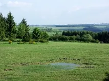 Blick über die Hochebene des ehemaligen Truppenübungsplatzes "Vogelsang" im Nationalpark Eifel (Foto: Christof Martin)