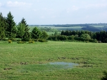 Blick über die Hochebene des ehemaligen Truppenübungsplatzes "Vogelsang" im Nationalpark Eifel (Foto: Christof Martin)