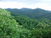 Blick über das Siebengebirge (Foto: Christof Martin)