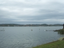 Blick von der Insel Reichenau auf Allensbach (westliches Bodenseebecken) (Foto: Usch Martin)