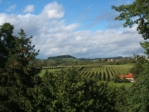 Obstanbau bei Wasserburg (östliches Bodenseebecken) (Foto: Usch Martin)