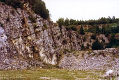 NSG Grube 7 bei Gruiten, landschaftstypischer Kalksteinbruch (Foto: Bahram Gharadjedaghi)