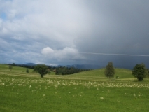 Blick von Oberreute über die Nagelfluhhöhen und -senken bei Immenstadt (Foto: Usch Martin)