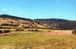 Blick auf typische Magerrasenhänge und bewaldete Kuppen bei Meiningen (Foto: Bahram Gharadjedaghi)