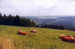 Blick aus der Hohen Rhön in Richtung Westliche und Östliche Kuppenrhön (Foto: Bahram Gharadjedaghi)