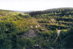 NSG Staatsbruch bei Lehesten - landschaftsprägender Schiefersteinbruch (Foto: Bahram Gharadjedaghi)