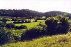 Heckenlandschaft mit blütenreichem Extensivgrünland im Frankenwald (Foto: Bahram Gharadjedaghi)