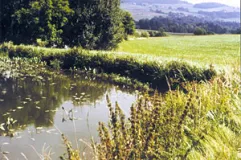 Fischteiche und Bergwiesen (Foto: Bahram Gharadjedaghi)