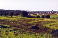 Tal der Kleinen Ohe mit Feuchtwiesen (Foto: Bahram Gharadjedaghi)