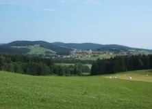 Blick von Süden auf Wildenranna (Foto: Usch Martin)