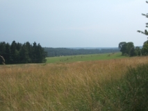 Blick über das Naturschutzgebiet Dreiländereck (Foto: Usch Martin)