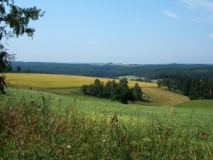 Mittelgebirgslandschaft bei Landwüst im Vogtland