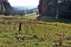 Zechengrund bei Heidersdorf (Foto: Bahram Gharadjedaghi)